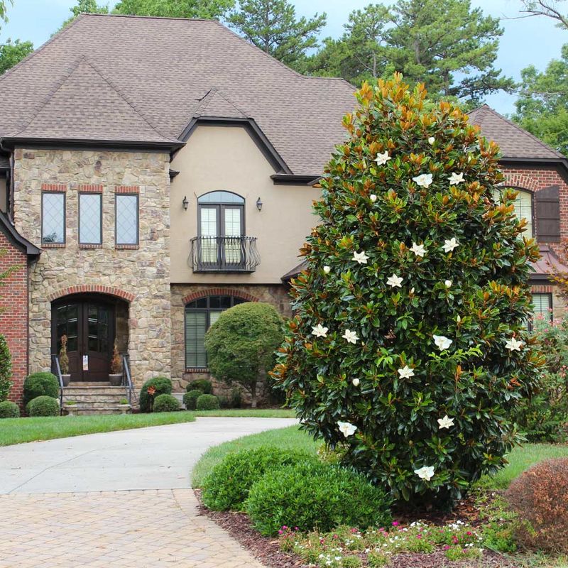 Year-Round Shade and Familiar Curb Appeal