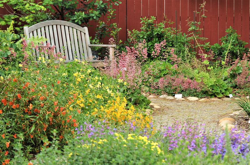 Your Own Monarch-Friendly Backyard Your Own Monarch-Friendly Backyard