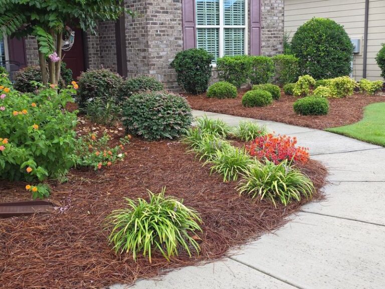 Pine Straw Mulch Usually Won’t Sour Your Soil, and Here’s What It Really Does