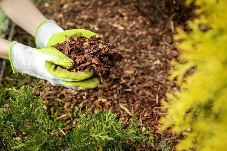 Old Mulch Can Be a Compost Ingredient This Fall, but Spring Compost Isn’t Guaranteed