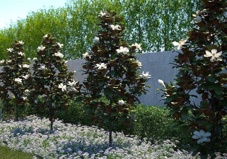 Leyland Cypress Fails North Carolina Yards Within Years, and These Native Shrubs Make a Better Privacy Screen