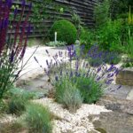 Your Lavender Is Turning Woody and Bare at the Base, and These 4 Fall Steps Stop It Spreading
