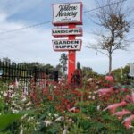 Missed the Big Fall Native Plant Sale? Here’s Where Florida Gardeners Still Shop