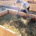 Raised Beds That Dry Out Fast: How to Help Your Soil Hold More Water