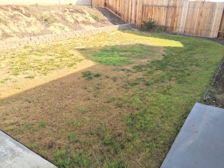 Fall Can Help You Cut Back Bermuda Grass in Your California Yard Before It Goes Dormant