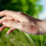 What to Do in the First Few Minutes After a Wasp Stings You in Your Florida Garden