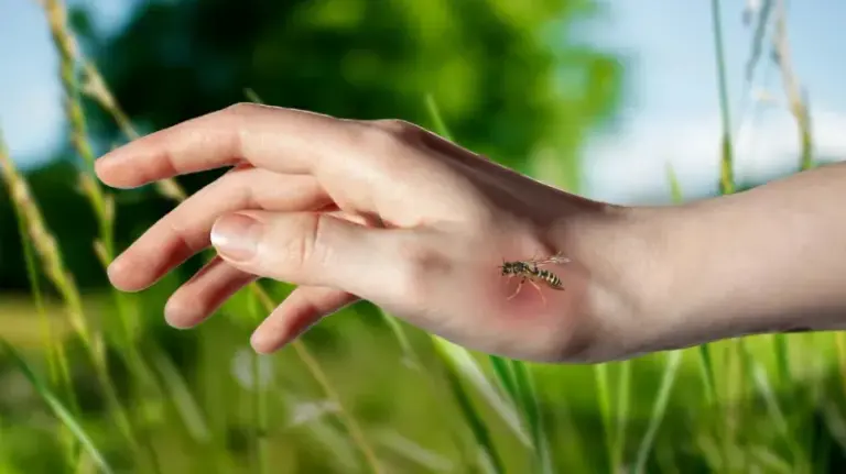 What to Do in the First Few Minutes After a Wasp Stings You in Your Florida Garden
