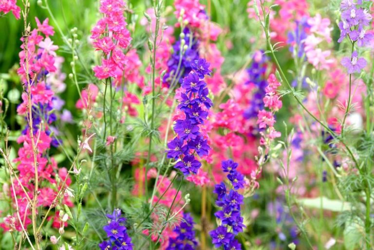 Your Garden Isn’t Done Yet: These 5 Flowers Go in the Ground This October for a Spectacular Spring Show