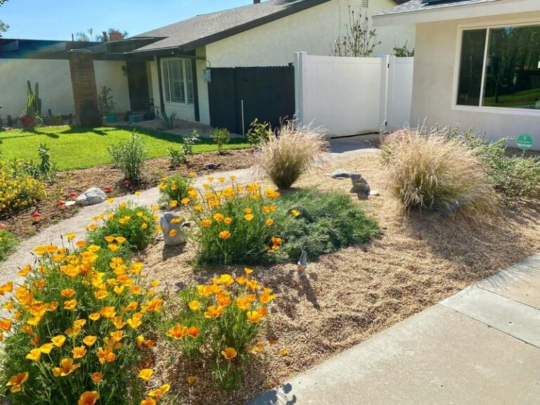The California Native Plants Selling Out at Nurseries Now That Gardeners Wish They’d Grabbed Sooner