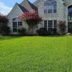Texas Bermuda Grass Fall Care: When to Fertilize, Mow, and Water Before Dormancy