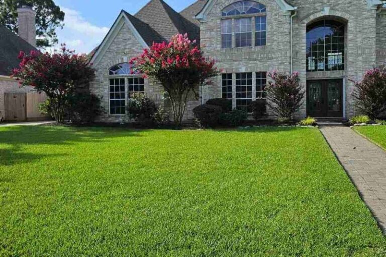 Texas Bermuda Grass Fall Care: When to Fertilize, Mow, and Water Before Dormancy