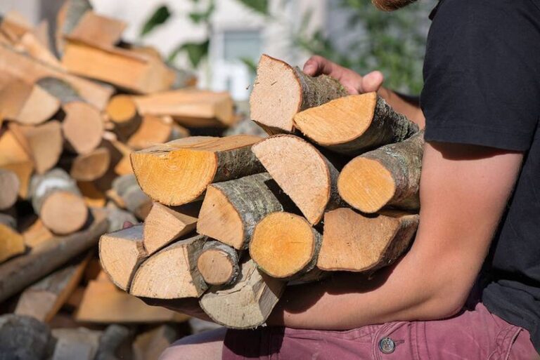 Firewood Stacked Near Your California Home Can Shelter Rats and Black Widows: Smarter Storage Tips