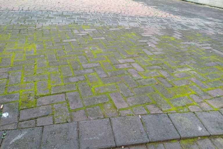 Moss and Green Algae on Patio Pavement: Try Vinegar on Pavement Only, and Get Separate Guidance for Porch Roofs