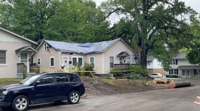 What North Carolina Homeowners Should Know About Neighbor Tree Disputes Before One Starts