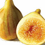 These Cold Hardy Fig Varieties Actually Survive North Carolina Winters and Still Load Up With Fruit