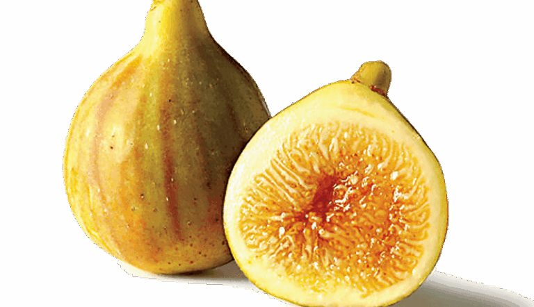These Cold Hardy Fig Varieties Actually Survive North Carolina Winters and Still Load Up With Fruit