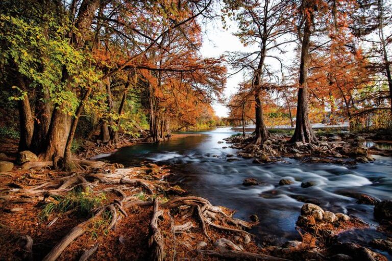 The Texas State Parks Where Fall Color Actually Rivals a New England Road Trip