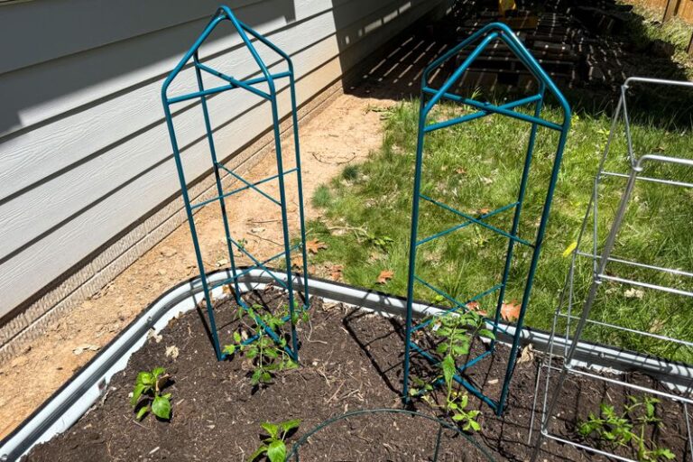 How to Clean Tomato Cages and Stakes Before Storing Them for Next Season