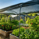 Your fall lettuce bolts and turns bitter after a warm November spell, and shade cloth saves the rest of the bed