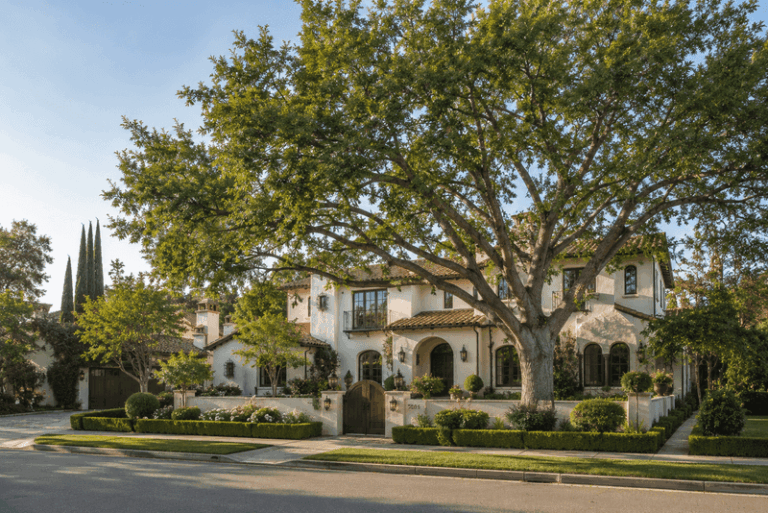 The Fast-Growing Florida Shade Tree That Cools Your Yard Without Becoming a Cleanup Project