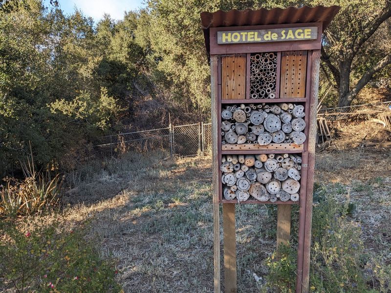 Rake Smart Under Your California Oaks: Some Bumblebee Queens Overwinter in Leaf Litter