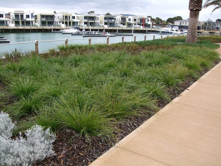 These Plants Keep Your California Pool Area Lush Without Leaving Leaves in the Water