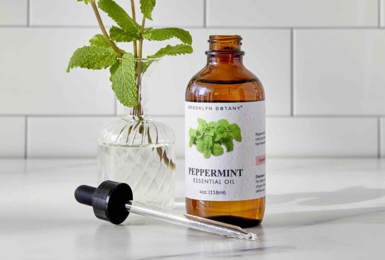 Stink Bugs Sneaking Indoors for Winter Hate These Natural Repellents You Already Have at Home