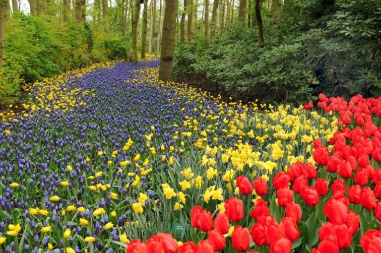 Tulip and Daffodil Bulbs Need the Right Depth, Plus Separate Fixes for Squirrels and Rot