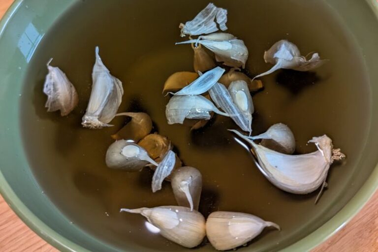Why Garlic Cloves Turn Mushy Before Spring and Practical Planting Steps That Reduce the Risk