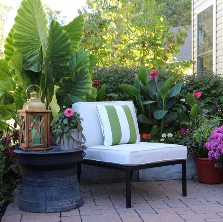 These 8 Plants Cause More Trouble Indoors Than They’re Worth, So Leave Them Outside This Winter