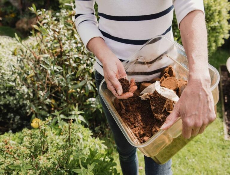 Moles Hate These Smells, and Putting Them in the Right Tunnels Clears Your Lawn Before Winter