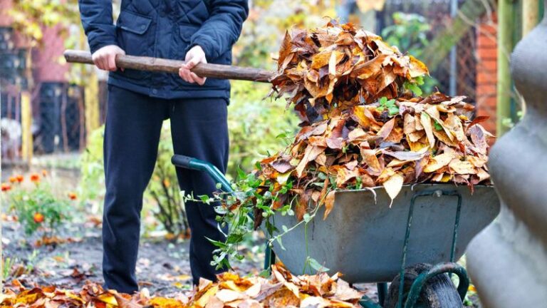 Stink Bugs Keep Sneaking Into Your House This Fall, and These 7 Tricks Keep Them Out of Your Home and Garden