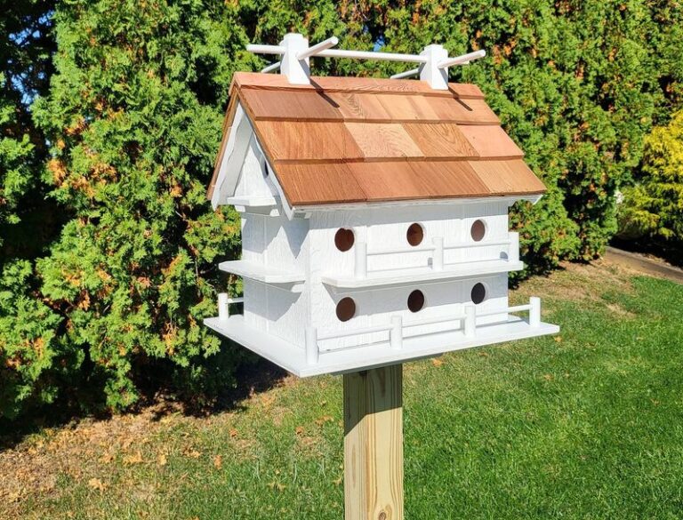 Put Up a Purple Martin House in Your Central Texas Yard This Fall to Welcome Spring Nesters