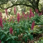 The California Native Shrubs That Replace Your Oleander Hedge and Keep Hummingbirds Fed Through Winter
