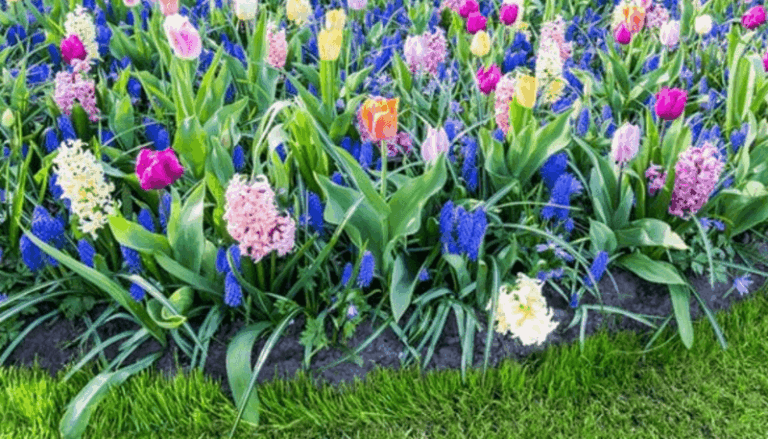 If You Want Tulips in Texas or Florida, Your Bulbs Need a Fridge Chill Starting Now