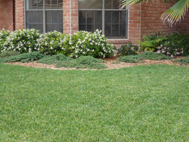 The Dry Summer May Have Stressed Some St. Augustine Lawns, and October Is a Time to Assess and Care for Turf