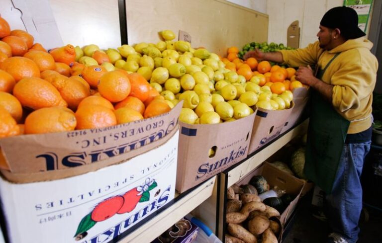 How to Assess Freeze Risk for Your California Citrus Before a Forecast Frost