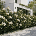 Swap Your Florida Vinyl Fence Line for These 8 Native Shrubs That Never Warp in the Heat