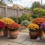 These Texas Nurseries Are Worth a Late-Fall Drive for Tulip Bulbs and Blooming Mums