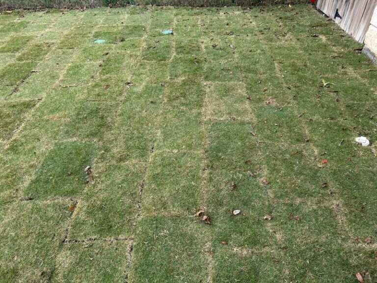 Why Your New Fall Sod Stays Brown and Won’t Root: Soil Contact Is One Fixable Factor