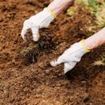 Compost or Bagged Soil? Only One Breaks Up North Carolina Clay Fast Enough for Spring Beds