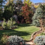 Managing a Wooded Backyard Edge for Ticks and Choosing Native Plants for the Site