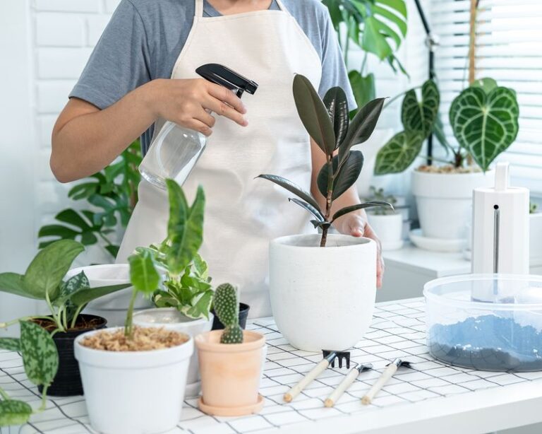 The One Thing North Carolina Gardeners Must Do Before Bringing Potted Plants Inside or Pests Spread to Every Houseplant
