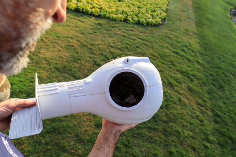 7 Florida Yard Changes That Bring Purple Martins In to Eat Mosquitoes All Spring